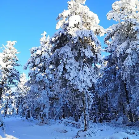 Apartament Poziomkowe *