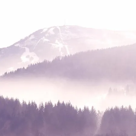 Poziomkowe Apartament